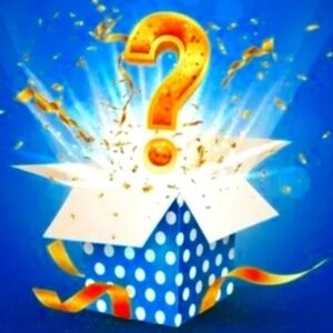 Mystery box purses, belts, accessories, or jewelry 2-5 items from my closet!